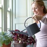 Indoor Watering Can in Grey By Sophie Conran at Burgon & Ball